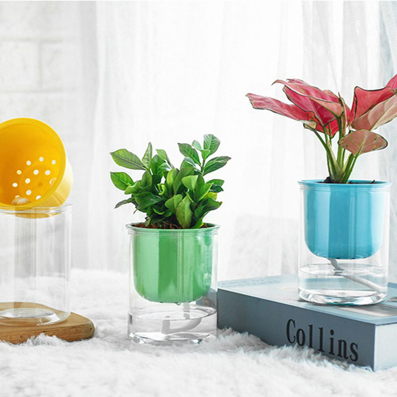 La Suculente Macaron Culoare Transparentă Creativitate Ghiveci Plante în ghiveci Rășină cu absorbție automată a apei