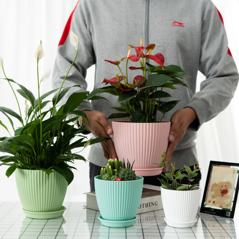 Macaron de jardinier de culoare, plante suculente, ghiveci de flori, recipient din rășină, cu orificiu de scurgere, ghiveci, figurină, decor de grădină, ornament de masă