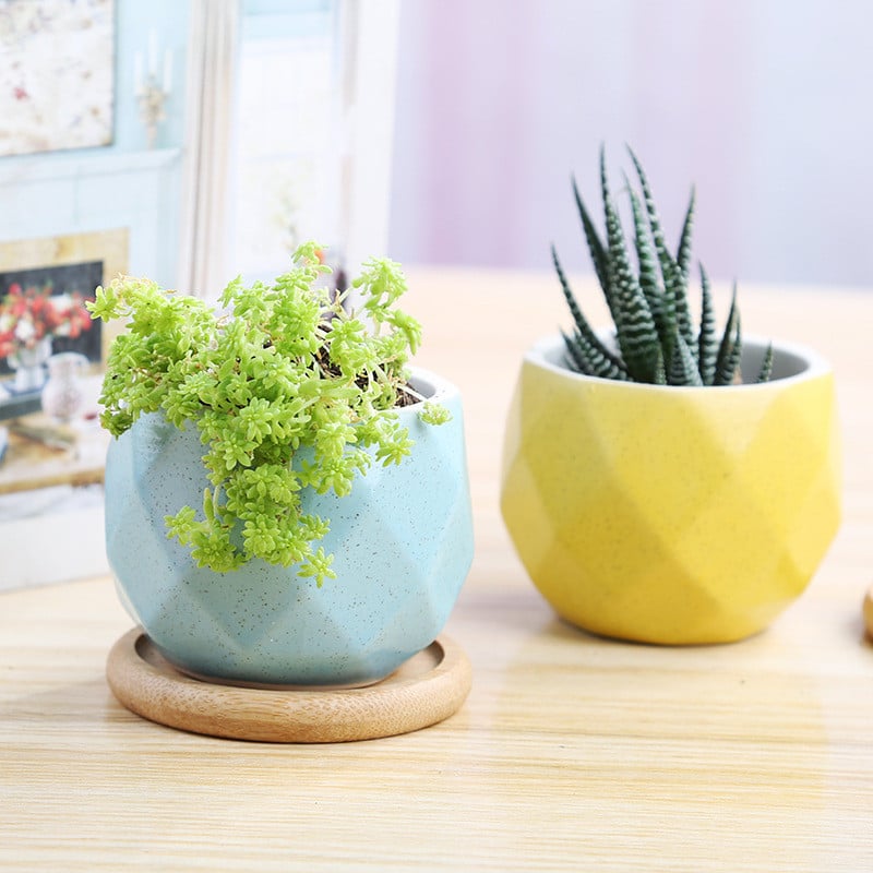 Mitmest lihast koosnev lillepott Väike värske, lihtne töötlemata keraamika lauaplaat Keraamiline aukudega lillepoti pendel Potid