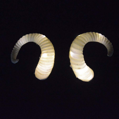 Προσομοίωση ενηλίκων παιδιών Κατσίκας LED Glow Light Κέρας προβάτου DIY Κλιπ μαλλιών που αναβοσβήνει Gothic Craft Cosplay Wedding Rave Χριστουγεννιάτικη στολή