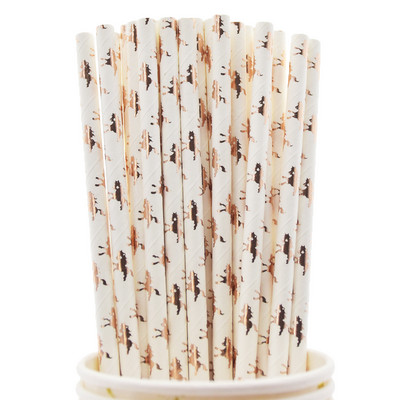 Boho Rainbow Dekoracije za rođendansku proslavu Pribor za jelo Tematske zastavice Prekrivači za torte Balonski vijenac za Baby Shower potrepštine za zabavu