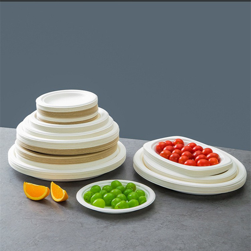 Papirnati tanjuri za jednokratnu upotrebu od 7 8 9 inča Tanjur za prirodni šećer Bagasse za kampiranje Piknik Ekološki nebijeljeni biorazgradivi tanjur 10 kom