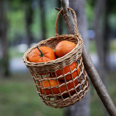 Boho Rattan Επιτοίχιο καλάθι με κρεμμύδι, μικρό υφαντό δοχείο αποθήκευσης σκόρδου Καλάθι αποθήκευσης πατάτας αυγών για κουζίνα