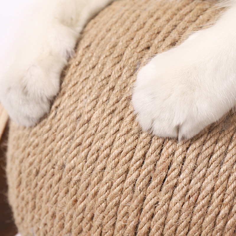 Nova igračka za mačke Interaktivna ploča za grebanje mačaka Mačići Uže od sisala Lopta Grebanje Šape Kućni ljubimac Grinding Mačke za grebanje Igračke za grebanje