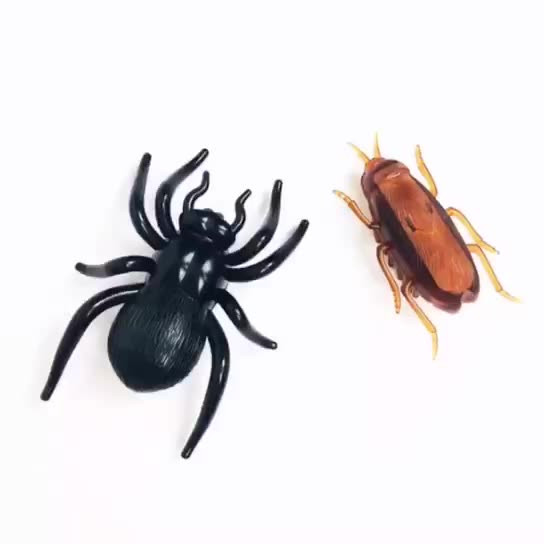 1 vnt Juokingas elektroninis interaktyvus žaislas katėms Elektra bėgantis tarakonas naminis šuo katė interaktyvus žaislas maitinamas baterija