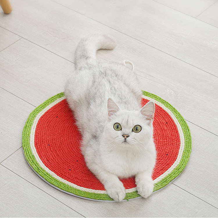 Lihvimiskäpad Kassimänguasjad Kasside kraapimislaud Kasside kraapimispostimatt Lihvimiskäpad Kasside kraabitsad Kulumiskindlad tarvikud