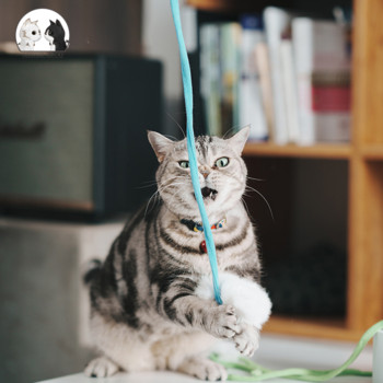 Плюшена котешка играчка Lifting Motion Bouncy Ball with Catnip Bell Interactive Cat Toy Funny telescopic Chewing Playing toy Продукти за домашни любимци