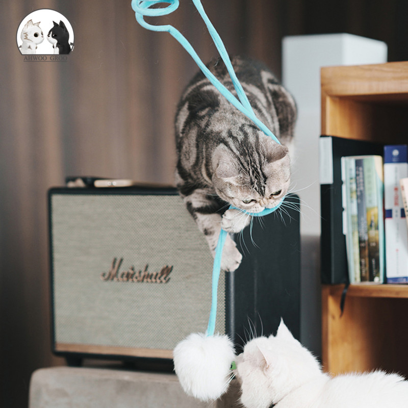 Palus kassimänguasi Lifting Motion Bouncy Ball Catnip Bell`iga Interaktiivne kassimänguasi Naljakas teleskoopnärimine Mängivad mänguasjad lemmikloomatooted