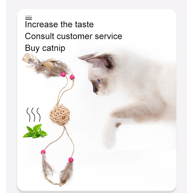 Interaktiivne kassi sulgede mänguasi Sulgede õrritaja rotangpall sulgedega Lemmiklooma kelluke Kassiviskamine Mänguasi kassipojale mõeldud lemmikloomatoode