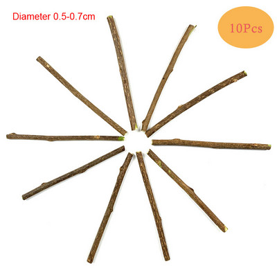 letenėlė Triušio kailis netikra pelė Naminių kačių žaislai Plunksnų vaivorykštės kamuoliukų žaislai Kačiukai Juokingi žaidžiantys žaislai katėms Kačiukas Žuvis katės žaislas