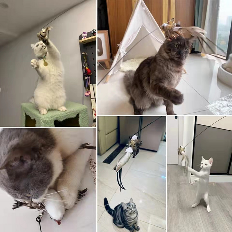 Simulare de pasăre, interactiv, amuzant, pisică, jucărie, pasăre cu pene blană, cu ventuză de clopot, pisică, jucărie, pisicuță, care se joacă, accesorii pentru animale de companie