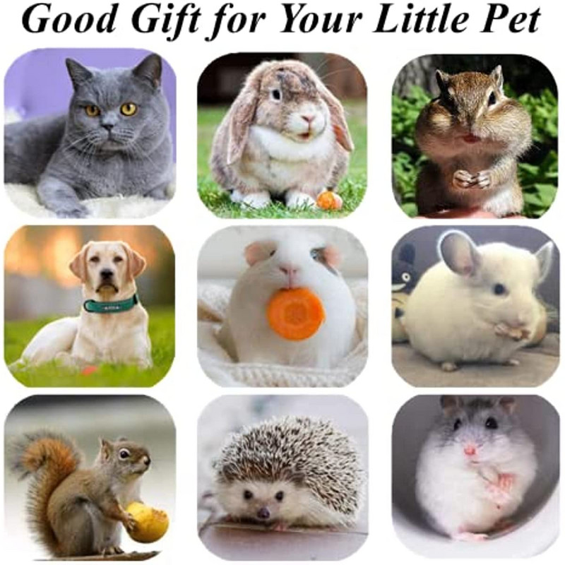 ATUBAN Cat Toys Silvervine Chew Stick,Kitten Treat Catnip Toy Kitty Φυσικά πράγματα με Catnip για καθαρισμό δοντιών εσωτερικού χώρου