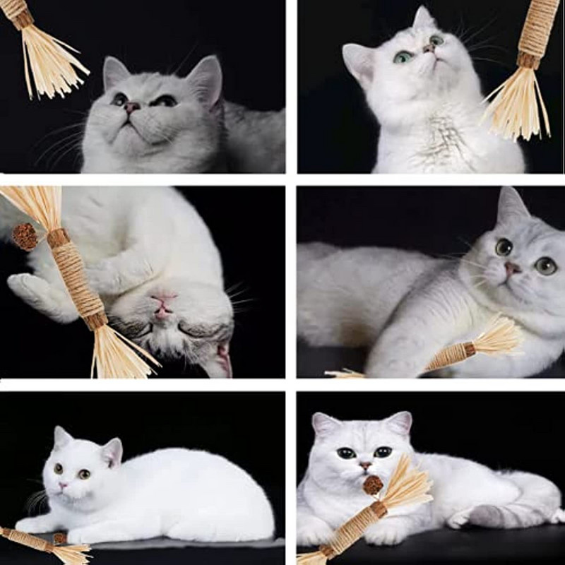 ATUBAN Cat Toys Silvervine Chew Stick,Kitten Treat Catnip Toy Kitty Φυσικά πράγματα με Catnip για καθαρισμό δοντιών εσωτερικού χώρου