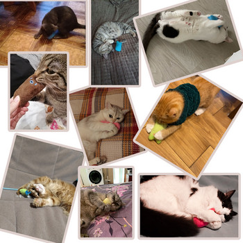 Funny Cat Pet Toys Molar Cleaning Gate Supplies Catnip Mini Plush Toys Fashion Stuffed Interactive Pet Companion Products