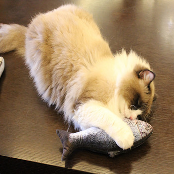 Παιχνίδι γάτας Προσομοίωση Ψάρι Παιχνίδι κατοικίδιο ζώο βελούδινο γάτα μέντα ψάρι γατάκι Παιχνίδια για γάτες Μασώντας Παίζοντας Δάγκωμα Κουνώντας Παιχνίδι