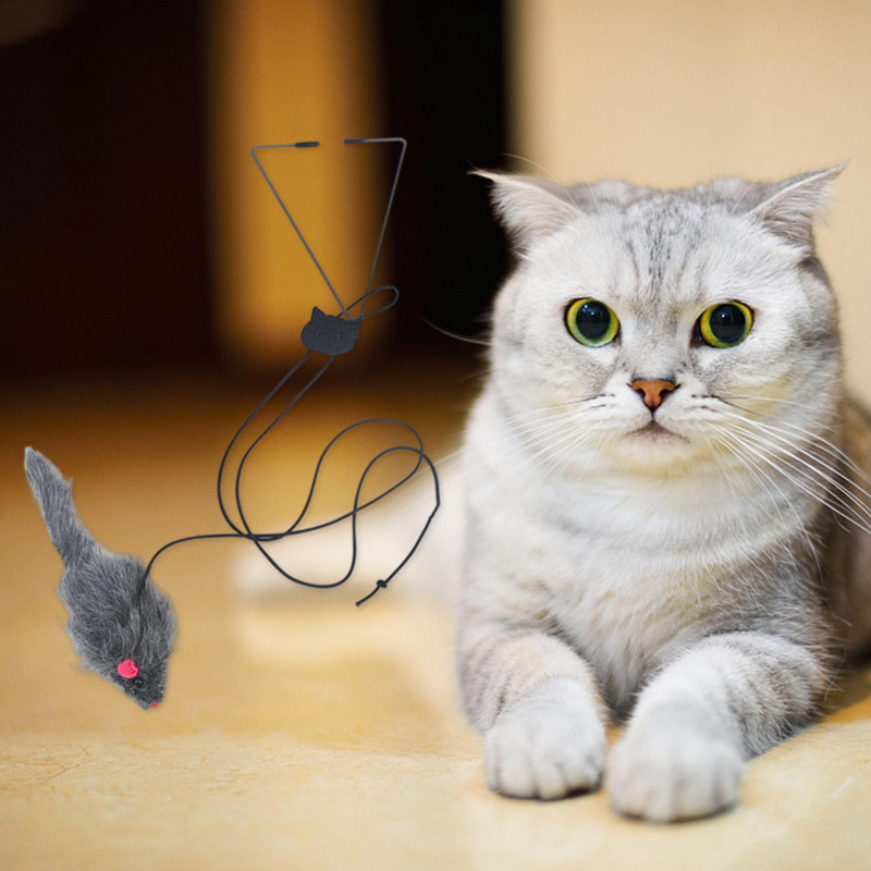 Mačka interaktivna igračka na uvlačenje Vrsta visećih vrata Smiješni štap Uže za mačje grebanje Miš zadirkivanje Igračka za mačke Alati za obuku hvatanja ljubimaca