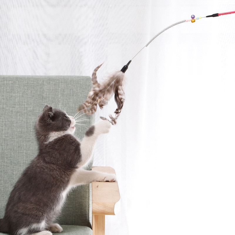Kassimänguasjad Sulepulk Teaser Wand Interaktiivne mänguasi kassipoegadele Treening Mängi kiusamine Agita kassi lõbusaid tarvikuid