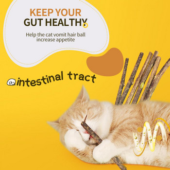 Φυσικό Catnip Stick Cat Cleaning Teeth Molar Toothpaste Stick Silvervine Actinidia Fruit Cat Snack Προμήθειες για κατοικίδια Αξεσουάρ για γάτες