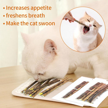 Φυσικό Catnip Stick Cat Cleaning Teeth Molar Toothpaste Stick Silvervine Actinidia Fruit Cat Snack Προμήθειες για κατοικίδια Αξεσουάρ για γάτες