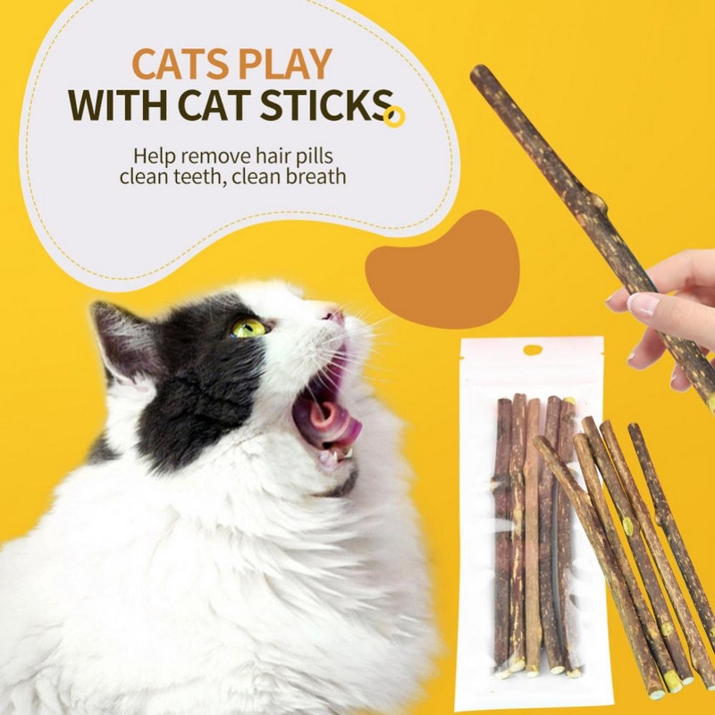 Natūralus Catnip Stick kačių valymo dantis krūminė dantų pasta Silvervine Actinidia Fruit Cat Užkandžiai naminiams gyvūnėliams Priedai katėms