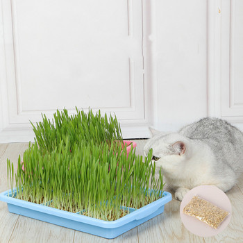 Pet Cat Grass Digestion Комплект саксийни растения Котешка трева Котешки закуски за премахване на космените топки за почистване на стомашно-чревната трева Продукти за домашни любимци