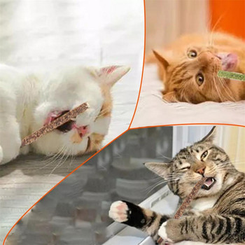 6 ραβδιά/κουτί Cat Chews Προϊόντα Όλα τα φυσικά ραβδιά Catnip Ξύλο Tengo Molar Sticks Καθαρισμός δοντιών Μπαστούνια γάτας για γάτες όλων των ηλικιών