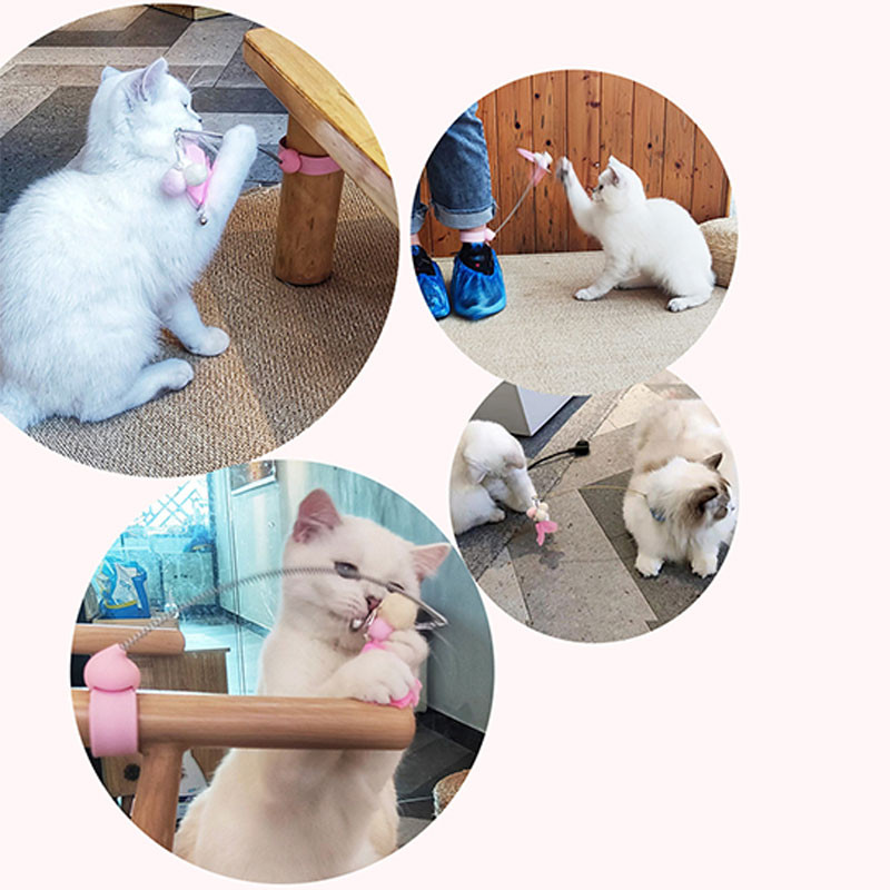 Mačke Igračka Narukvica Prsten za stopalo Višenamjenski zadirkivač Mačji štap Mačić Interaktivna obuka Elastičnost Smiješna mačka Oprema za kućne ljubimce