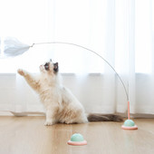 Cat Self Tere Kahe kasutusega eemaldatav pikk varras Cat Teaser Terasest traadist kellaimeja fikseeritud lemmikloomatarbed Interaktiivsed mänguasjad Kassitarbed