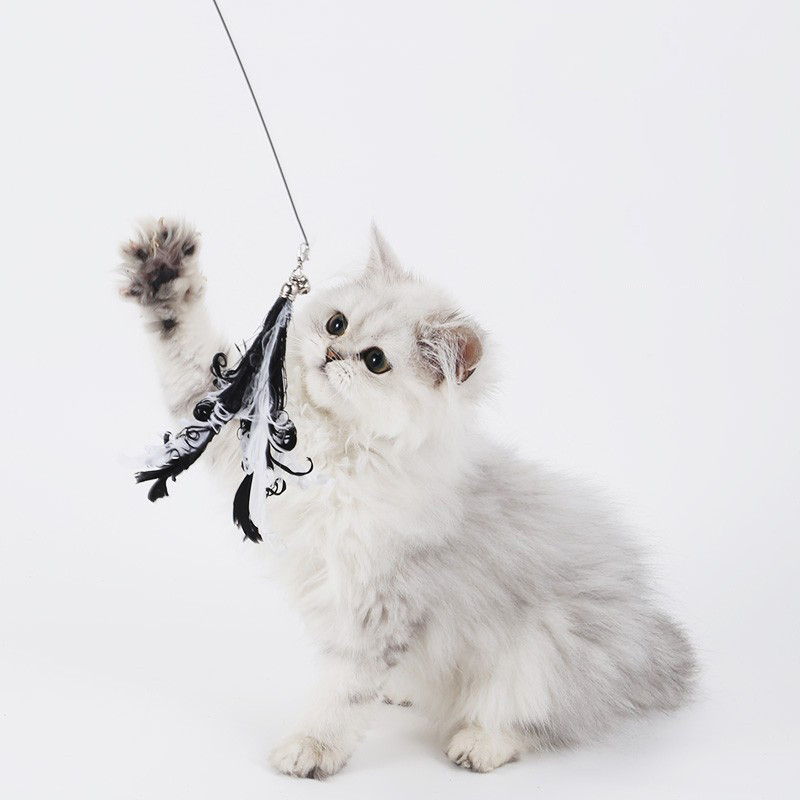 Cat Teaser Wands Interaktivni Cat Catcher Teaser Štap Štap Igračke na uvlačenje Trening Vježbanje Štap za pecanje Pribor za kućne ljubimce