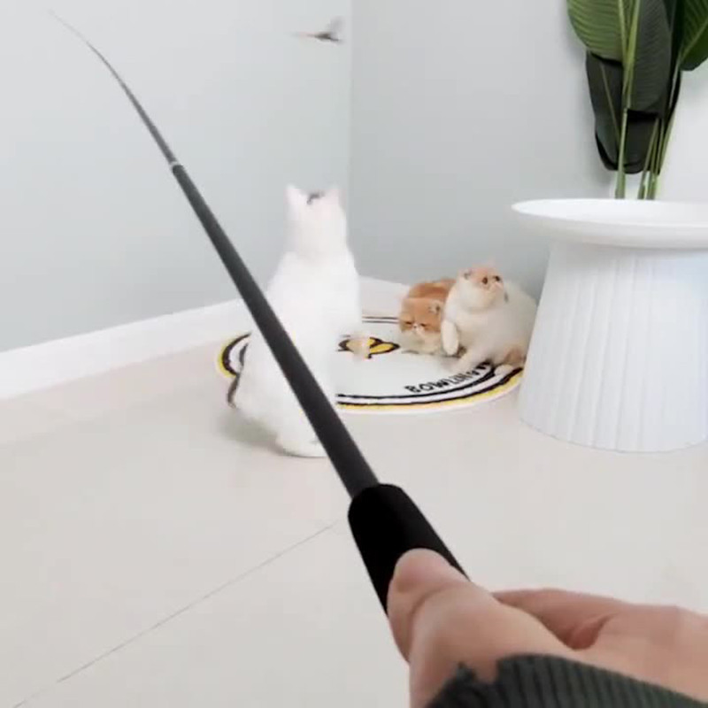 Cat Teaser Wands Interaktivni Cat Catcher Teaser Štap Štap Igračke na uvlačenje Trening Vježbanje Štap za pecanje Pribor za kućne ljubimce