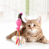 Simulatsioonikala interaktiivne kassimänguasi Naljakas sulelind koos kellukesega kassipulgaga mänguasi kassipojale, kes mängib õrritava võlukepi mänguasi Kassitarbed