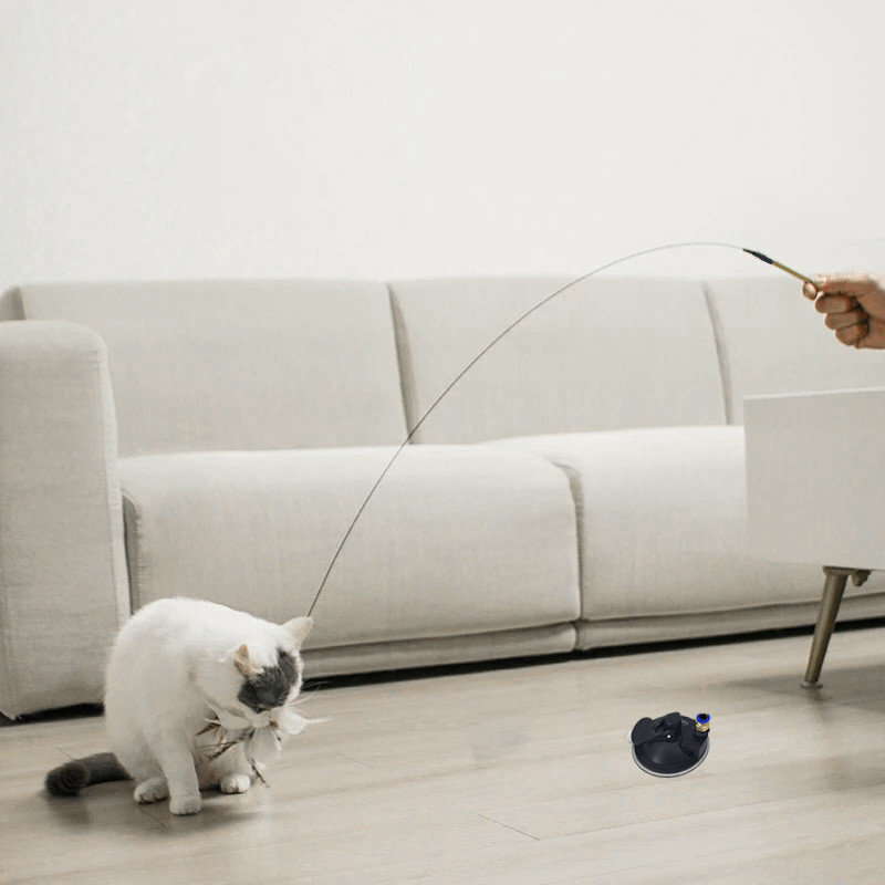 Iminapaga sulekassi mänguasi Vivid Simulation Lid Cat Teaser Mänguasi Naljakas interaktiivne jälitajakepp lemmikloomakass Juguetes Gatosele