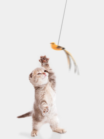 Симулация Cat Stick Toy Bird Interactive Cat Toy Funny Feather Bird with Bell for Kitten Playing Teaser Wand Toy Cat Supplies
