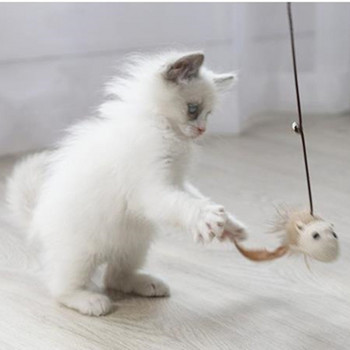 Παιχνίδια με φτερά γάτας για γάτες Ξύλινη χειρολαβή Παιχνίδι για γάτες με σχοινί κάνναβης ποντίκι Πουλί Γάτες Παιχνίδια Διαδραστικά προϊόντα για κατοικίδια