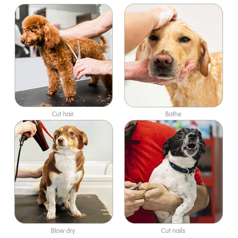 Lemmikloomakoerte hooldamine Võrkkiik Rakmed Koera võrkkiik Kinnituskott Kutsikad Koerad Kassi küüneklambrid trimmiv vannituskott