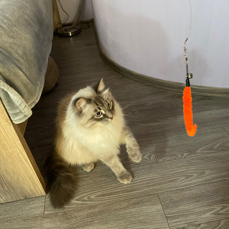 2023. gada kaķu interaktīvās rotaļlietas spalvu ķircinātāja zizlis, mājdzīvnieku izvelkamais spalvu zvana uzpildes nomaiņas ķērāja produkts kaķim