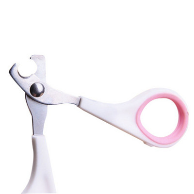 Mitmevärvilised lemmikloomad loomad koerad kassid linnud varbaküünis roostevabast terasest hooldus küünekäärid käärid lemmikloomatarbed