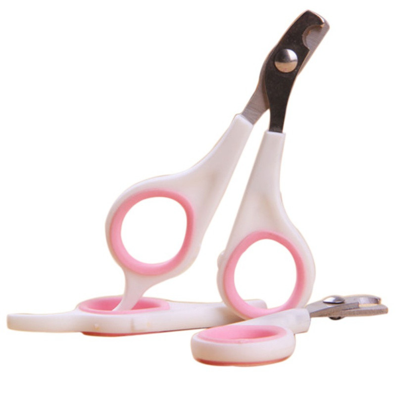 Mitmevärvilised lemmikloomad loomad koerad kassid linnud varbaküünis roostevabast terasest hooldus küünekäärid käärid lemmikloomatarbed