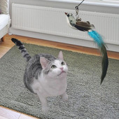 Kassi sulgede mänguasja simulatsioon lind, kassi võlukepp mänguasi, mis leevendab stressi