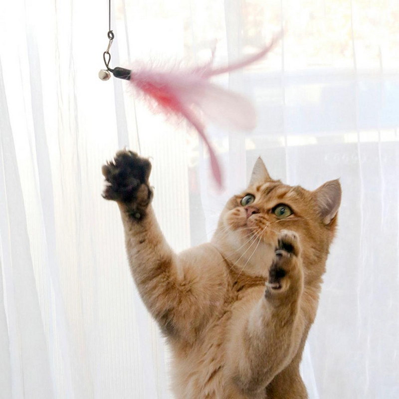 Vastupidav lemmikloomasulgede mänguasi Mugav käepide Kriimustusvastane kassitõusmisvarras, leevendab stressi Pehme kohev kassitõusmisvarras