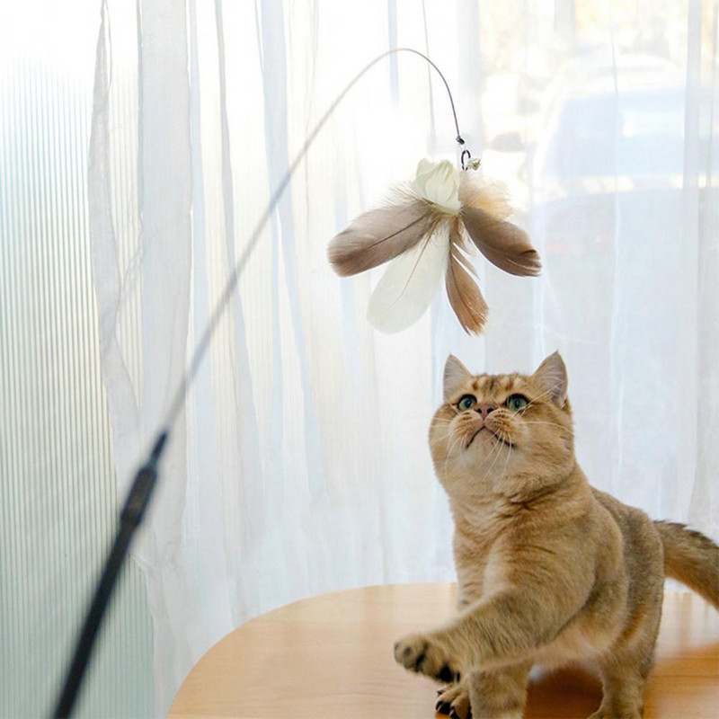 Vastupidav lemmikloomasulgede mänguasi Mugav käepide Kriimustusvastane kassitõusmisvarras, leevendab stressi Pehme kohev kassitõusmisvarras