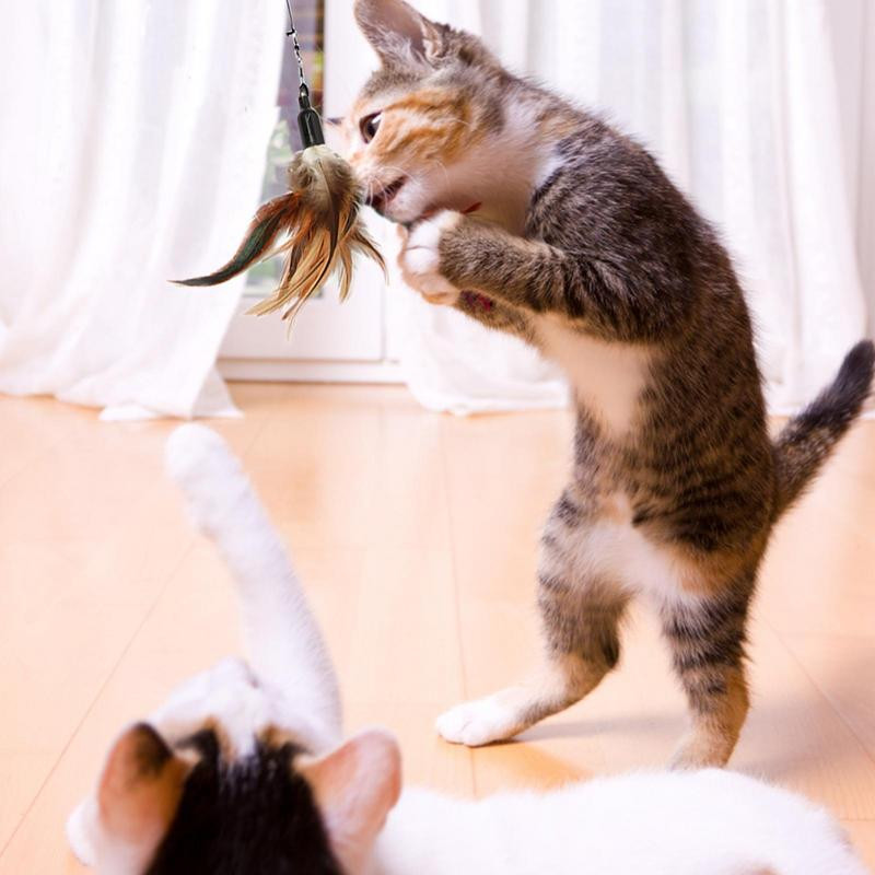 Funny Cat Stick Teaser Toy Štap za mače Mačke Igračke s kolutom za podešavanje Interaktivne igračke Oprema za kućne ljubimce za mačiće Vježba lova