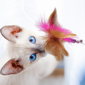 Γατάκι σιλικόνης που παίζει Teaser ραβδί Διαδραστικά παιχνίδια Εκπαίδευση με ραβδί γάτα Παιχνίδια για κολάρα με ραβδί γάτα Πολυλειτουργικά προμήθειες για κατοικίδια