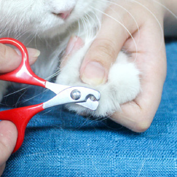 Котешки нокти Професионален нож за нокти за кученца Ножици за нокти на домашни любимци Тример Машинки за подстригване за малки котки Кучета и грижи за котки Аксесоари