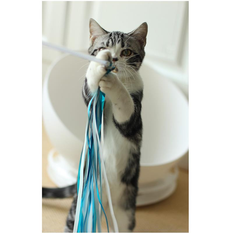 Dorakitten 1 kom Funny Cat Teaser Wand Kreativno interaktivno zvono Decor S kićankama Mačka Igračka Dresura mačaka Interaktivna igračka Oprema za kućne ljubimce