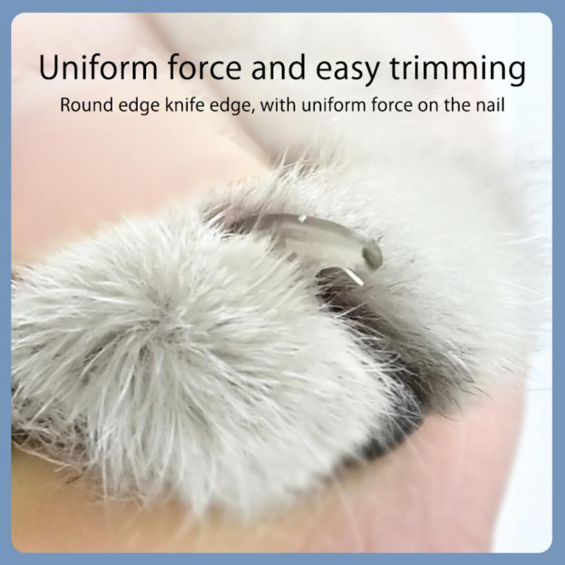 Škare za mačje nokte Škare za nokte pasa kućnih ljubimaca Trimer za nožne prste Profesionalni proizvodi za njegu kućnih ljubimaca za male štenad Mačke kunići