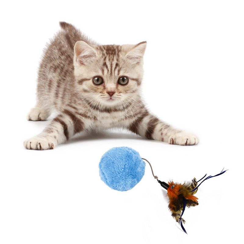 2019. Nova čarobna lopta s kotrljajućim kuglicama Miš s perjem Igračka za kućne ljubimce Automatska kuglica s valjkom za žvakanje Plišane čiste igračke Električna interaktivna lopta za igračke