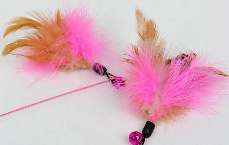 Naljakas kassipoegade kiisutaja interaktiivne mänguvarras kellukese ja sulgedega Kasside õrritaja Interaktiivsed mänguasjad võlukepp Lemmikkasside mänguasjade pulk 2022