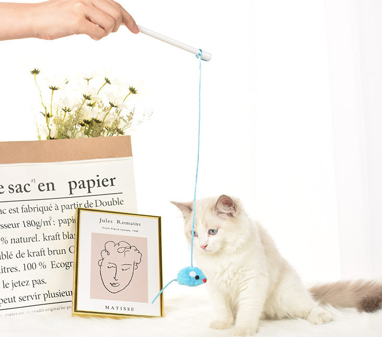 1,35 USD/gab mājdzīvnieks kaķis kaķēns rotaļlietas kaķu ķircinātājs īsie nūjas spalvu bumbiņas pele 20gab/partija