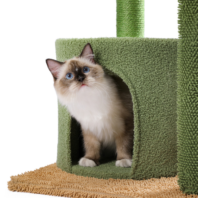 Cat Tree Tower Katės namas su draskytu stulpu Mieli kaktusų žaidimo namų baldai su Condo Nest Mordern Pet Scratcher